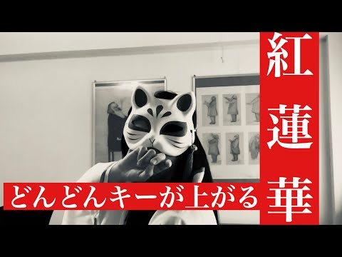 【鬼滅の刃】鬼の様にキーが上がる紅蓮華/LiSA