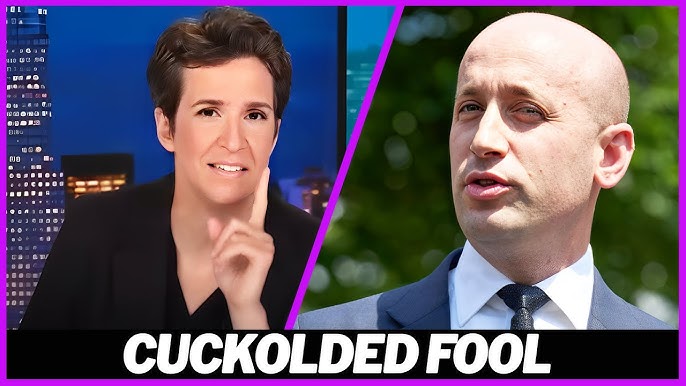 Rachel Maddow BRUTALLY HUMILIATES Stephen Miller After His Wife's SCANDAL  Erupts - YouTube