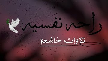 تلاوة صباحية بصوت خاشع || أجمل حالات واتس قرأن || Quran Status 💙
