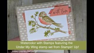 Under My Wing sneak peek at new catalog stamp set from Stampin' Up! - Beth's Paper Cuts