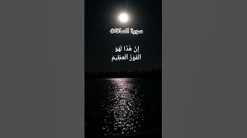 #سورة_الصافات #اكسبلور #song #النظافه #shortvideo #العلم #الراحة_النفسية #cat #القزابري #القرآن