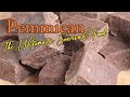 Making Pemmican - The Ultimate Survival Food