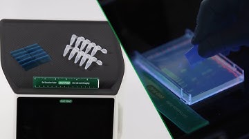 How to Excise Gel Bands with Bio-Rad