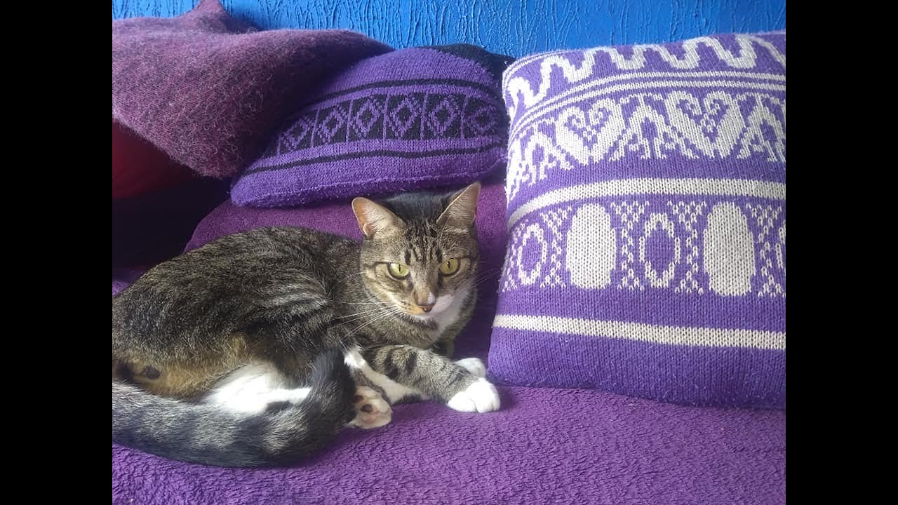 Almofadas lindas feitas na máquina de tricô! Faça e Venda.