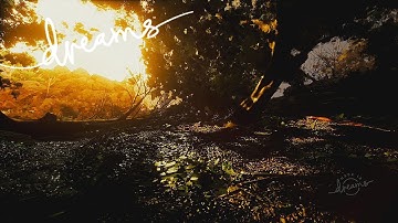 Dreams - Nature Visual | PlayStation 4