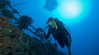Spiegel Grove   Sea Dwellers Dive Center