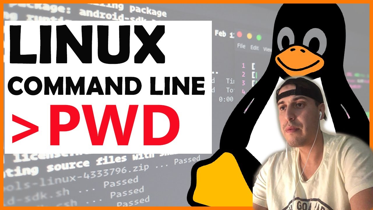 1 ~ PWD Linux Command Line - YouTube