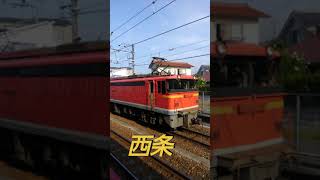 【列車色々】青春18きっぷ旅の一部。