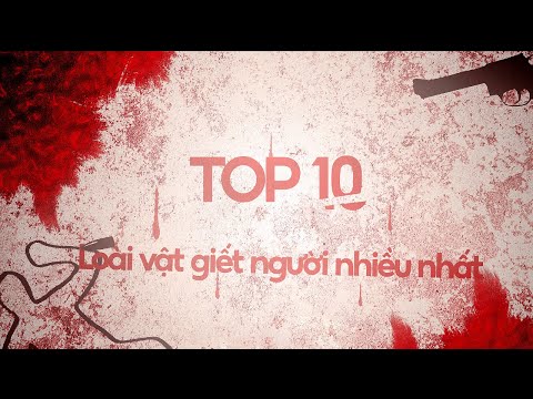 TOP 10 loài vật GIẾT NGƯỜI nhiều nhất!