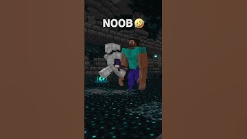 When You Get Warden in Minecraft : NOOB vs PRO 😄