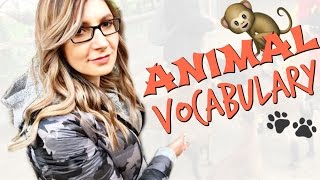 LEARN ANIMAL VOCABULARY AT THE ZOO 🦁🙉🐮