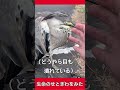 「君たちはどう生きるか」