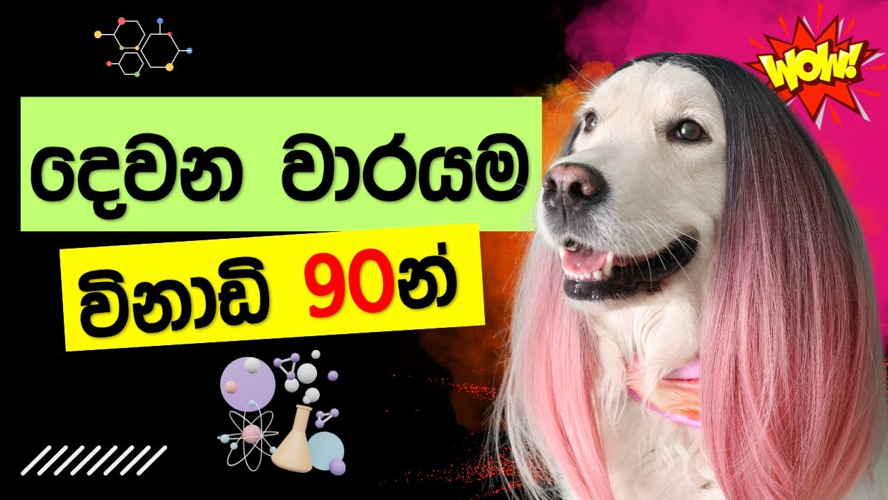 10 විද්‍යාව - 💯දෙවන වාර පරීක්ෂණය💯- Grade 10 Science Second Term Test