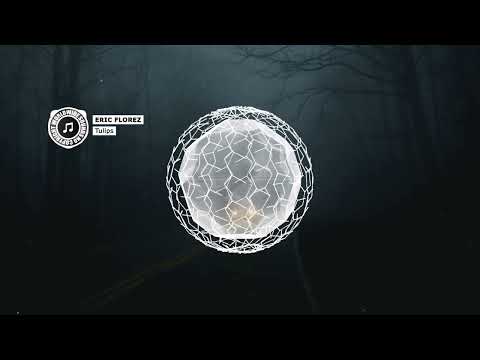 Deep House, EDM [ Free Depressed Song ] [ Sad Emotional No Copyright Music ] Eric Florez - Tulips