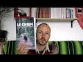 Le Chien Cet Animal Qui Nous échappe