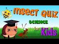 Insect Quiz