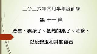 【晨興聖言重點分享】二〇二六年六月半年度訓練第十一篇眾星、男孩子、初熟的果子、莊稼、以及碧玉和其他寶石