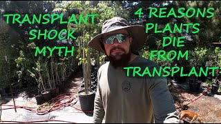 Gardening Myths: Blaming Everything On Transplant Shock | 4 Reasons Your Plant Died After Transplant screenshot 2