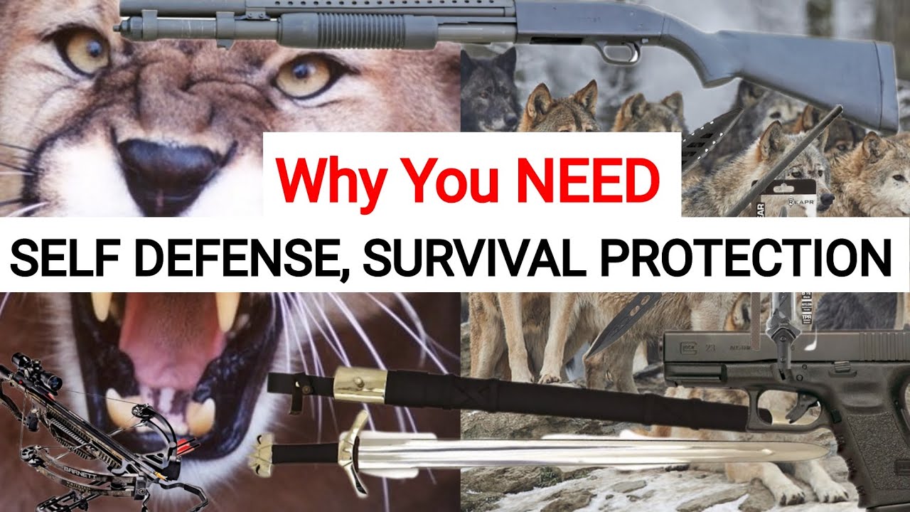 Buy Self Defense Weapons before WW3 BEGINS. Cougars, Bears, Wolves in