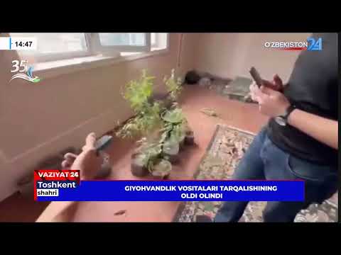 Giyohvandlik vositalarining tarqalishining oldi olindi (Toshkent)