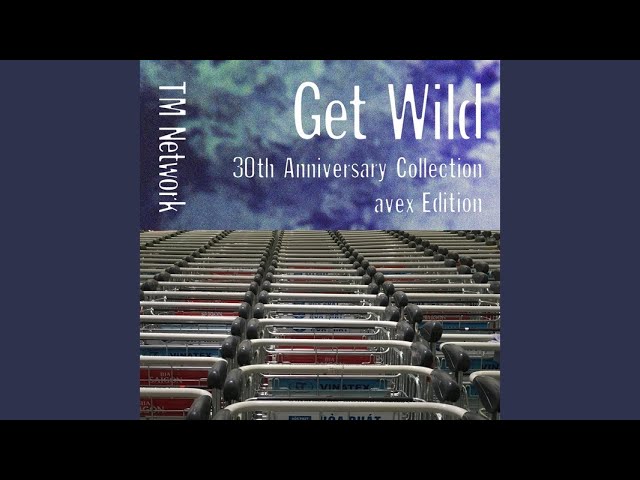 GET WILD (Takkyu Ishino Latino Remix) - YouTube