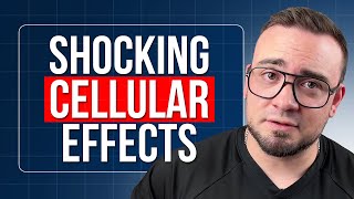 The REAL Science Behind Methylene Blue: How It Actually Works