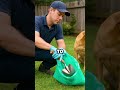 🐾 A Cleaner Yard Starts with Lehigh Valley Scoopers