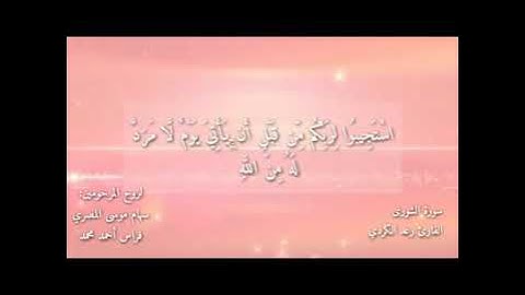 حالات واتساب دينية سورة الشورى بصوت رعد الكردي