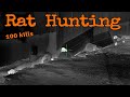Rat hunting100 kills shooting