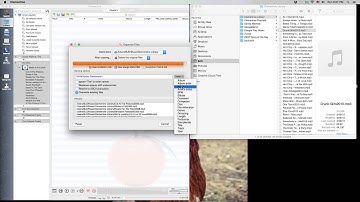 Organizing Music with Clementine