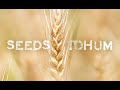 Tohum belgeseli  seeds documentary