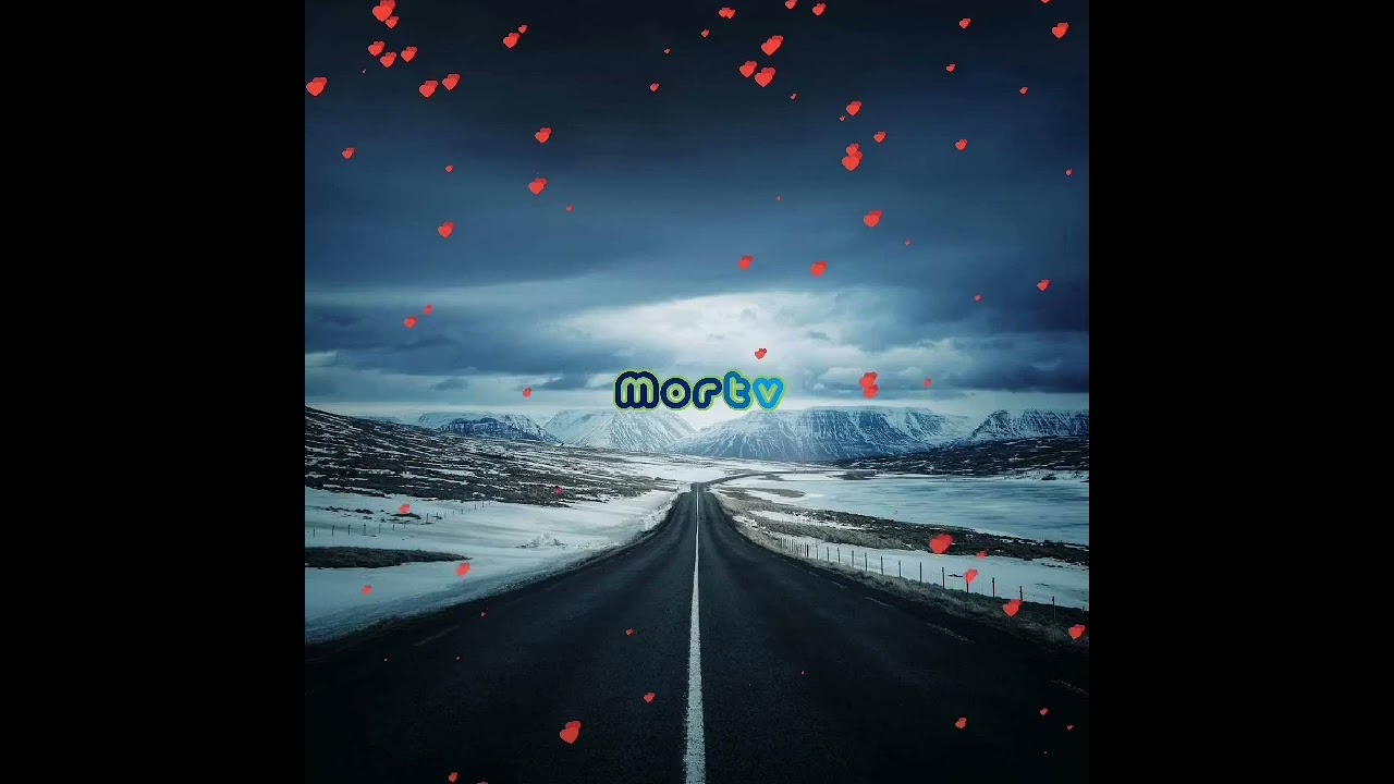 Morning Shine | mortv_official