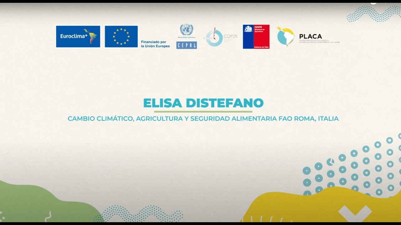 Elisa Distefano YouTube