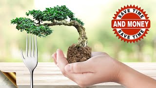 10 SECRET BONSAI HACKS FOR INSTANT BONSAI TREE MAKING | MONEY SAVING DIY BONSAI TIPS & TRICKS by GARDEN TIPS 42,346 views 1 year ago 7 minutes, 1 second