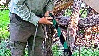 TIP:  Fast Hammock Teardown