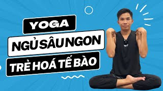 Yoga Mọi Lứa Tuổi, Ngủ Ngon Giấc, Khí Huyết Lưu Thông, Trẻ Hoá Từng Tế Bào, Cơ Thể Dẻo Dai Nam Hà