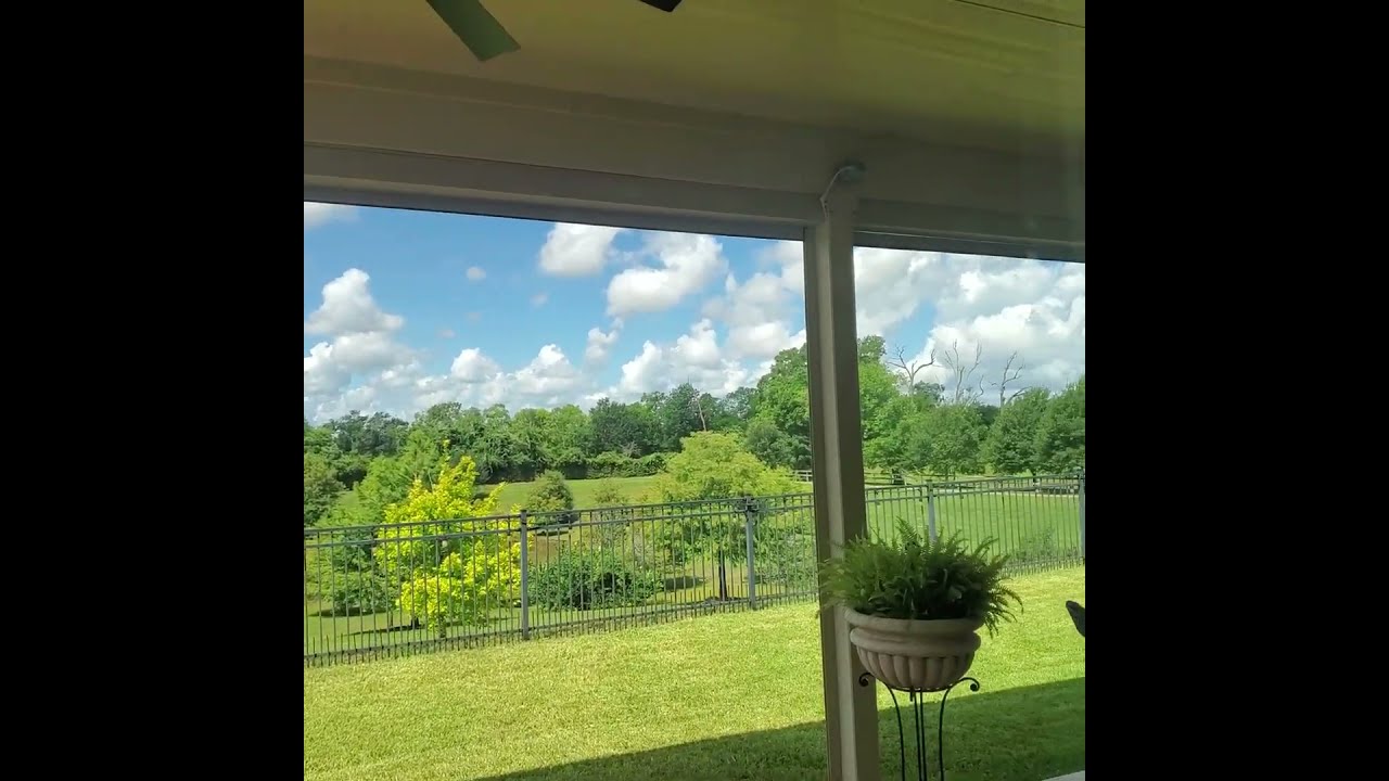 Automated Blinds Preview 