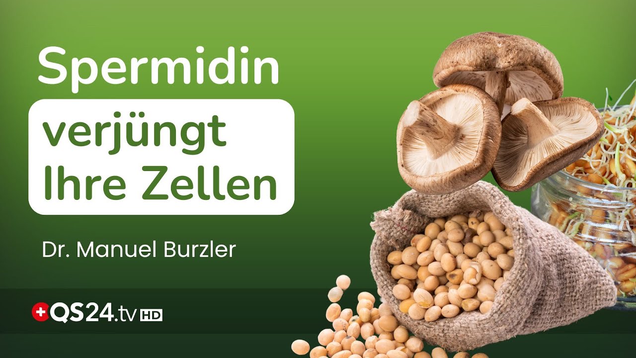 Ihr Körper kann sich selbst verjüngen – Spermidin zeigt wie! | Naturmedizin | QS24