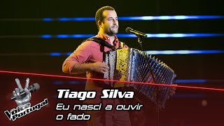 Tiago Silva  - 