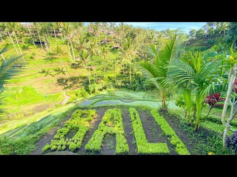 Video: Le migliori gite di un giorno da Ubud, Bali