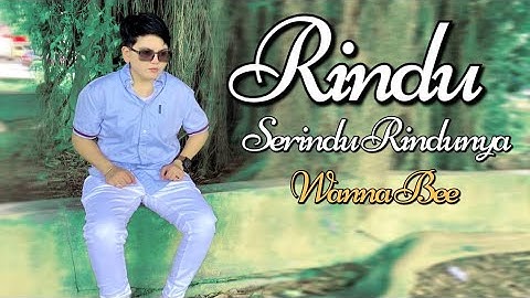Rindu Serindu Rindunya - Spoon || Cover Wanna Bee (Wanna Annisyah Purba)