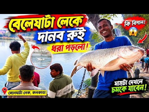 বেলেঘাটা লেকে বড়ো শিকারের সময়||Big fishing in Beleghata 