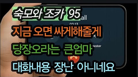 (큰엄마와 조카95-자꾸 사게 해줄거냐고 묻는 조카)실화사연, 충격적인 사연 막장사연 장모 썰 이모 친구엄마 사이다 응징 반전