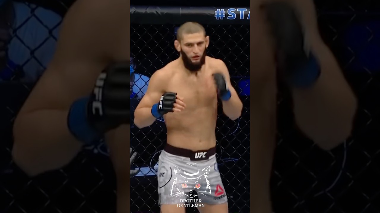 😻Почему Хамзат Чимаев является чемпионом? 