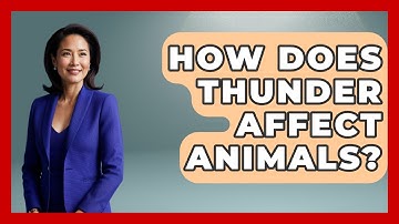 How Does Thunder Affect Animals? - Weather Watchdog
