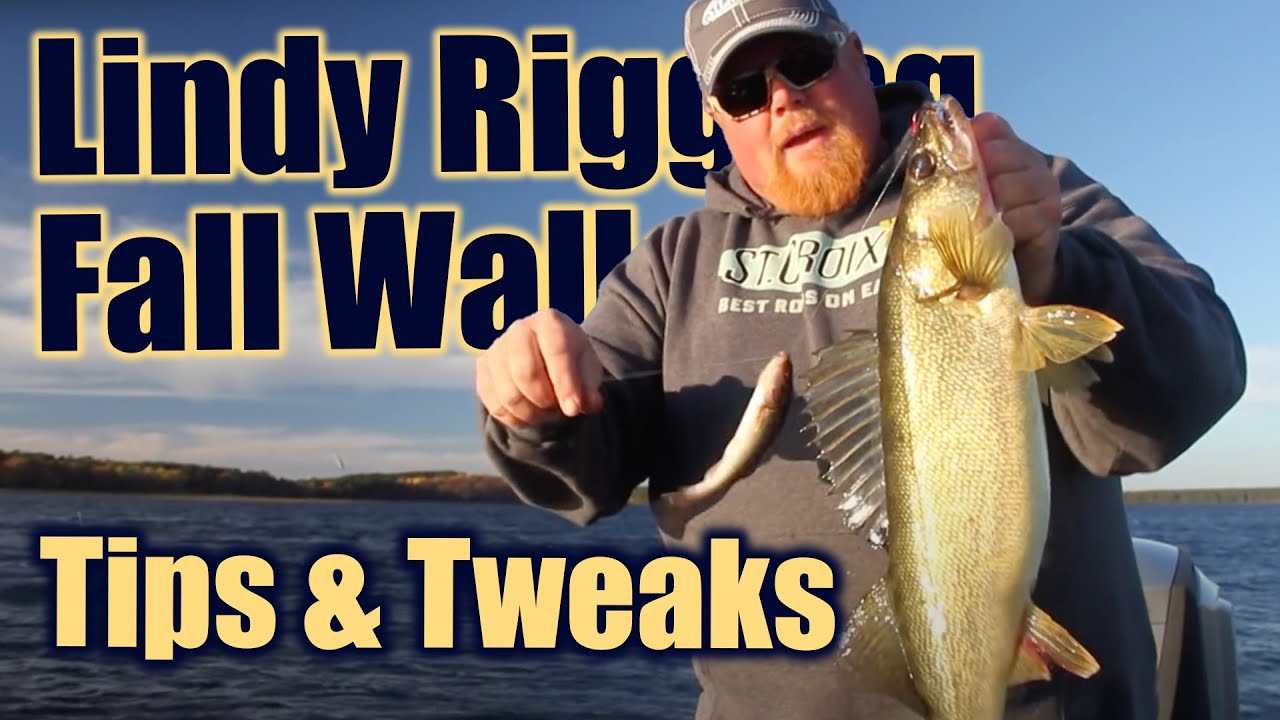 Lindy Rigging Fall WALLEYE: Tips & Tweaks AnglingBuzz