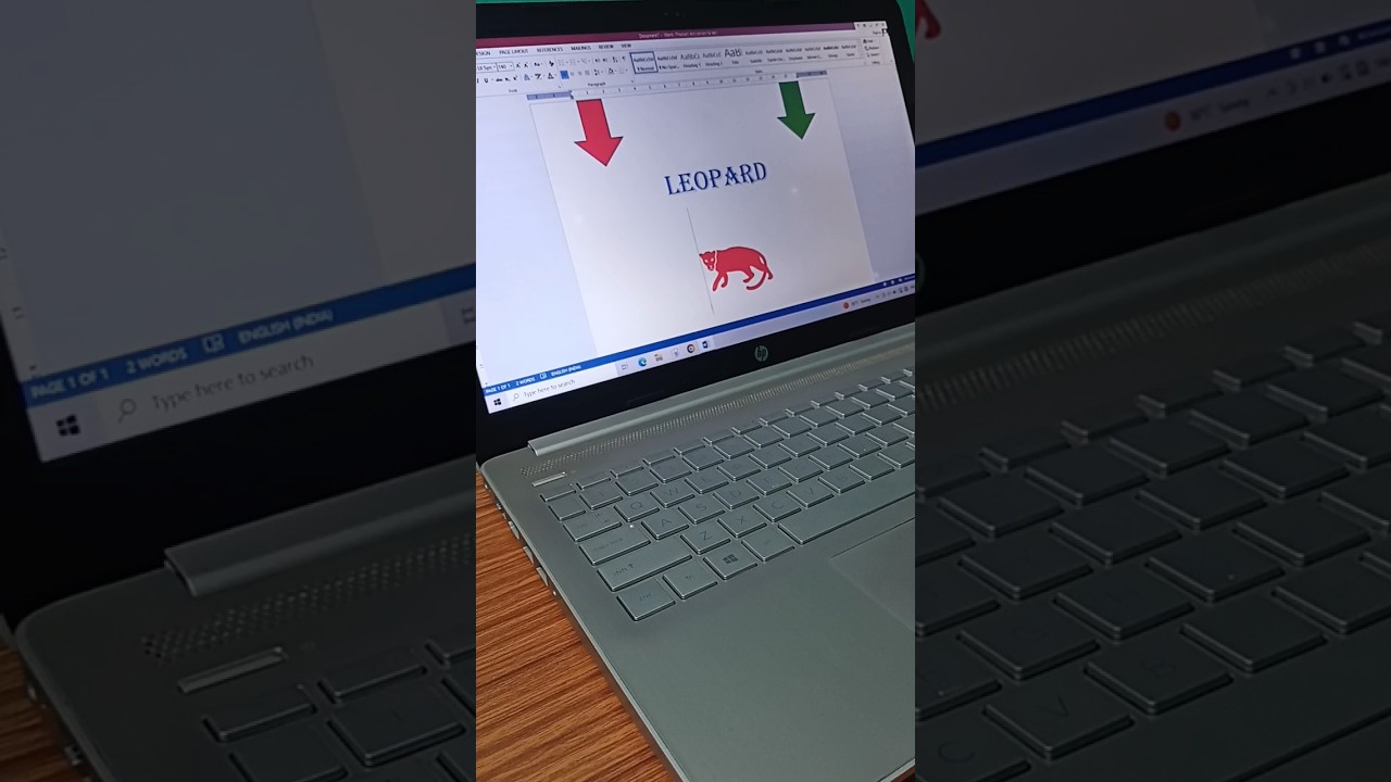 💻 symbol 🖥️ leopard 🐆