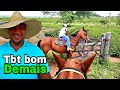 PASSEIO A CAVALO | olhando o pasto depois de muita chuva.