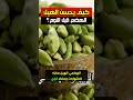 كيف يحسن الهيل الهضم قبل النوم