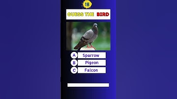 Guess the bird name challenge video ll #quiz